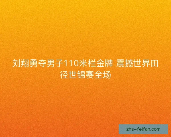 刘翔勇夺男子110米栏金牌 震撼世界田径世锦赛全场